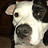 George_Passino